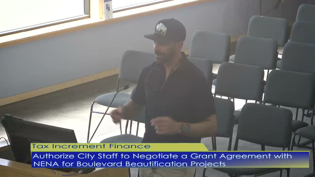 Tax Increment Finance Board unanimously authorizes city to negotiate grant agreement for Northeast neighborhood landscaping project